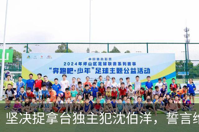 坚决捉拿台独主犯沈伯洋，誓言维护国家尊严！